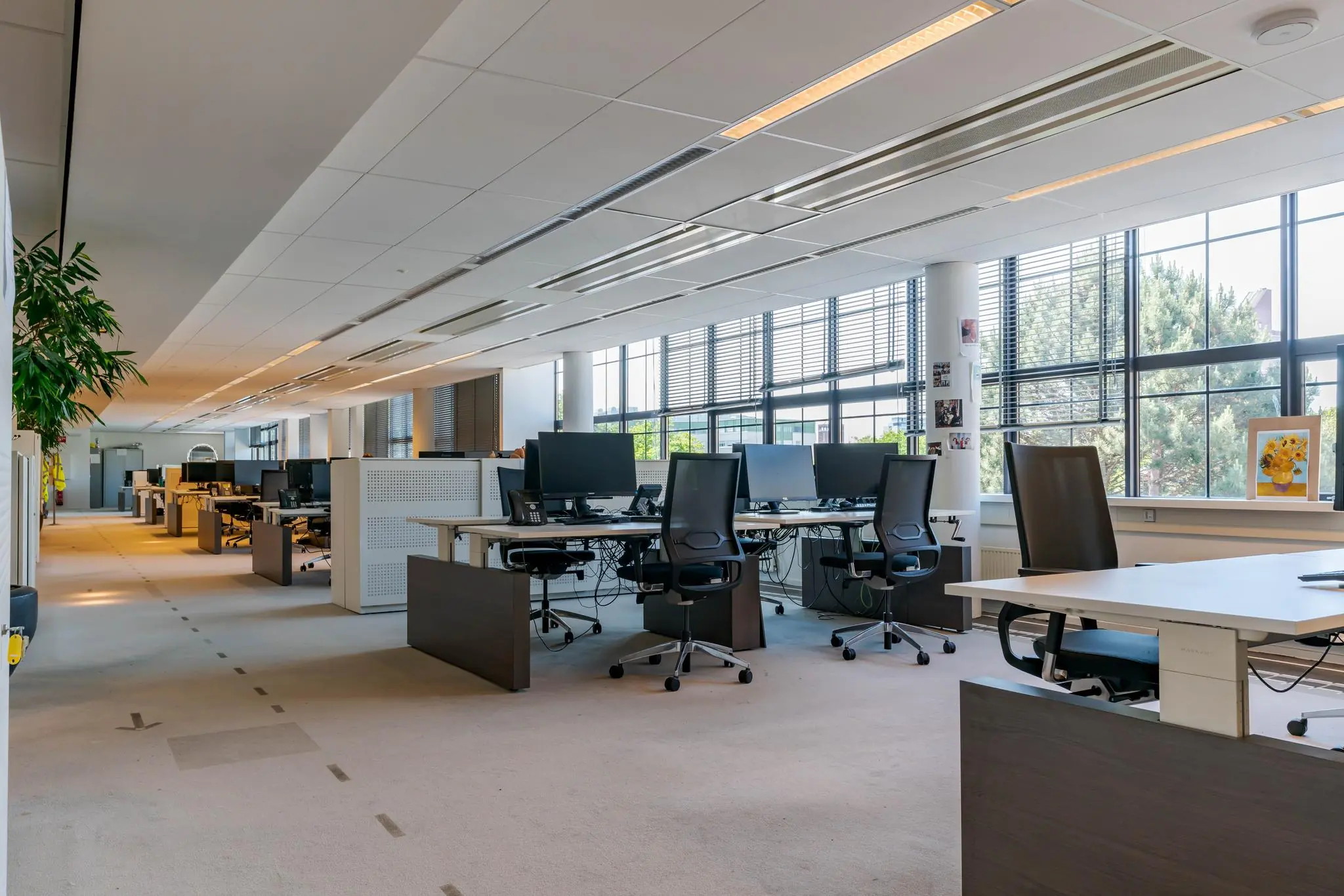 Modern, ruim en licht open kantoor aan de Van Alkemadelaan met werkplekken en grote ramen.